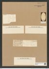 Liradiscus oblongus Grun. (de-Toni-Nr.: Genus 192, Species 4734) Zeichnungen Sammlung Grunow Nr. 8377 (NHMW-BOT-W0377801)